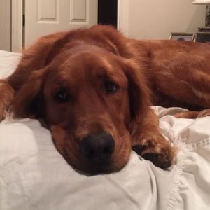 Meet your Posher, Beth